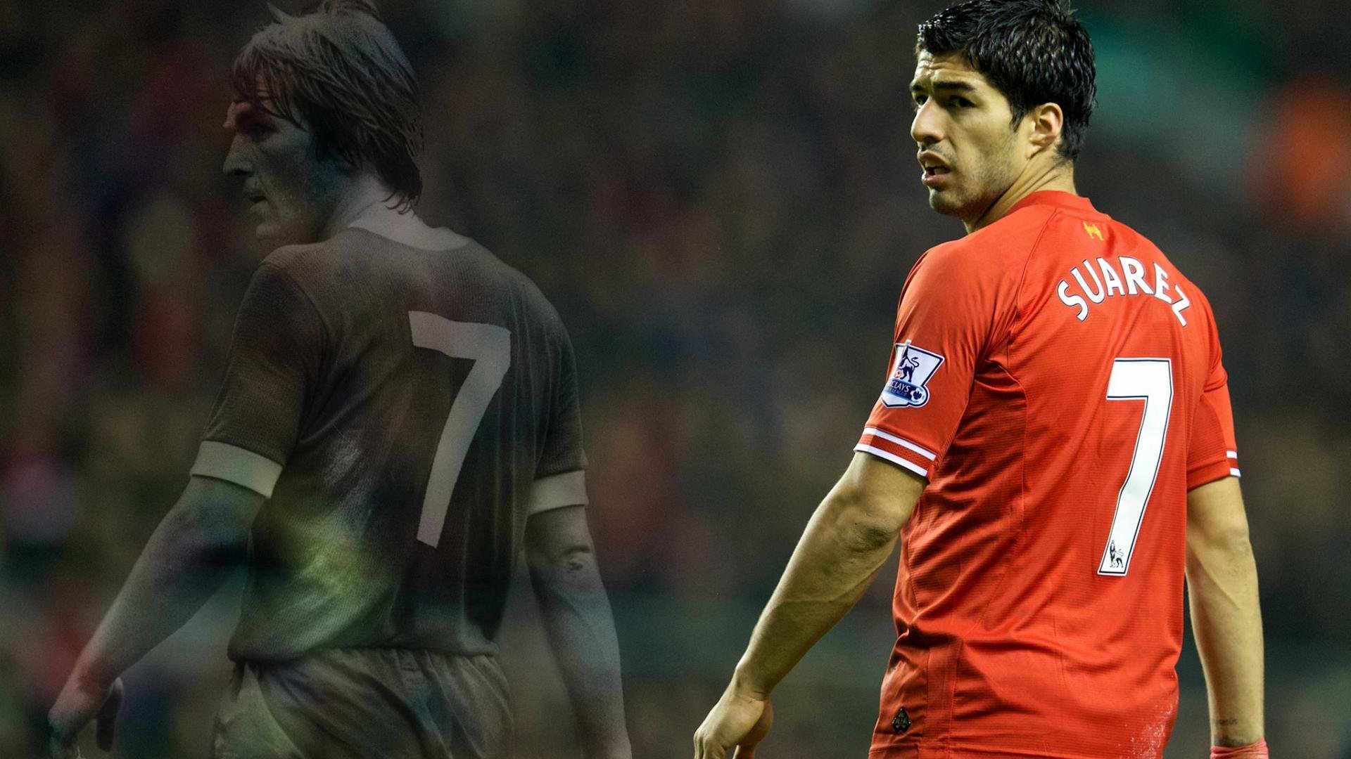 公牛队逐步崭露头角,迎接未来,公牛队是啥